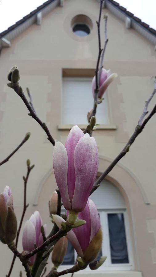 Le Gite Du Magnolia Willerval Eksteriør bilde